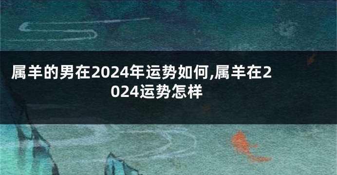 属羊的男在2024年运势如何,属羊在2024运势怎样