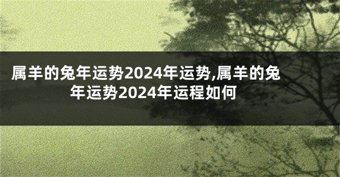 属羊的兔年运势2024年运势,属羊的兔年运势2024年运程如何