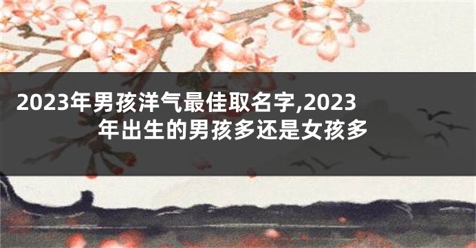 2023年男孩洋气最佳取名字,2023年出生的男孩多还是女孩多