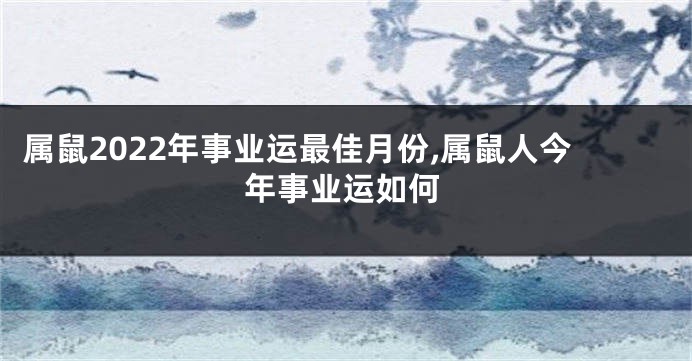 属鼠2022年事业运最佳月份,属鼠人今年事业运如何