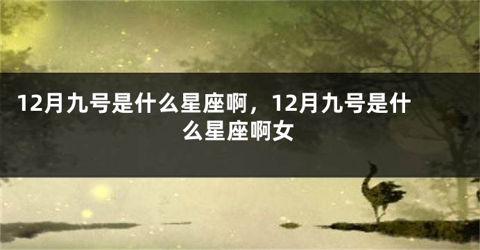 12月九号是什么星座啊，12月九号是什么星座啊女