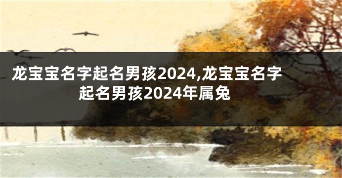 龙宝宝名字起名男孩2024,龙宝宝名字起名男孩2024年属兔