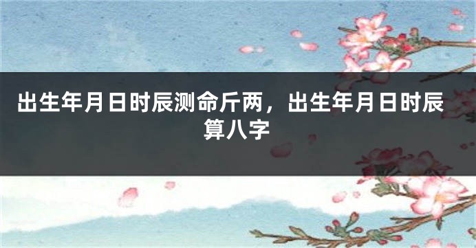 出生年月日时辰测命斤两，出生年月日时辰算八字