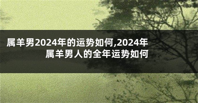 属羊男2024年的运势如何,2024年属羊男人的全年运势如何