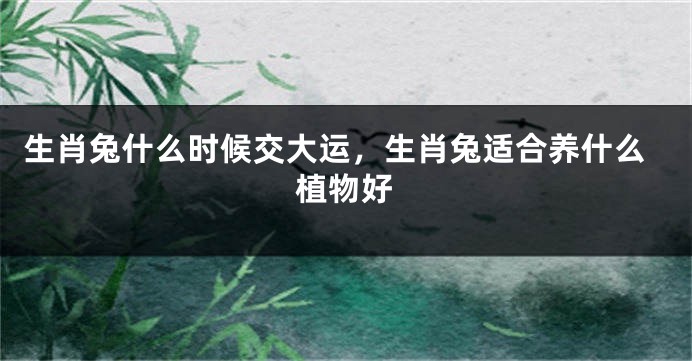 生肖兔什么时候交大运，生肖兔适合养什么植物好