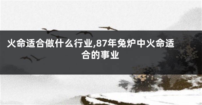 火命适合做什么行业,87年兔炉中火命适合的事业