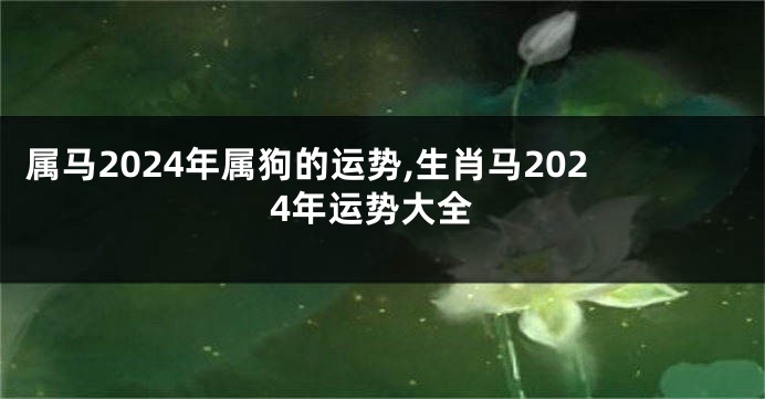 属马2024年属狗的运势,生肖马2024年运势大全