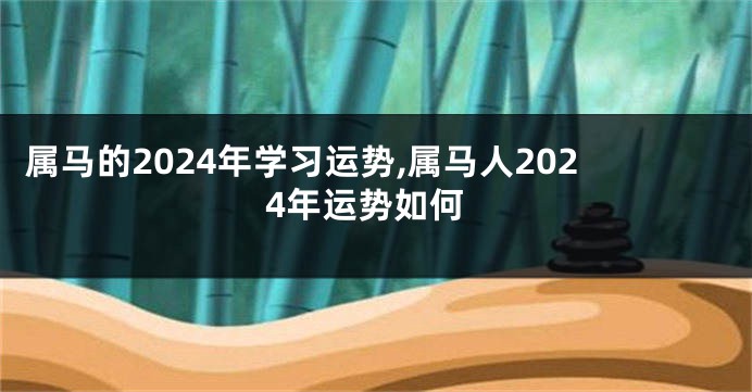 属马的2024年学习运势,属马人2024年运势如何