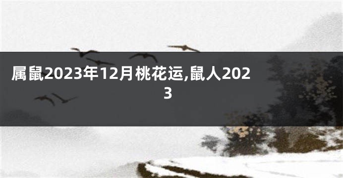 属鼠2023年12月桃花运,鼠人2023