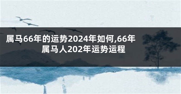 属马66年的运势2024年如何,66年属马人202年运势运程