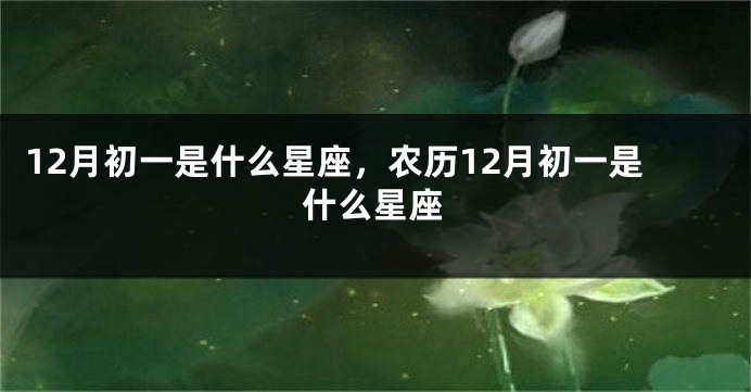 12月初一是什么星座，农历12月初一是什么星座