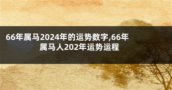 66年属马2024年的运势数字,66年属马人202年运势运程