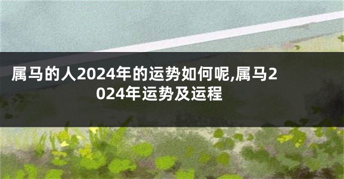 属马的人2024年的运势如何呢,属马2024年运势及运程