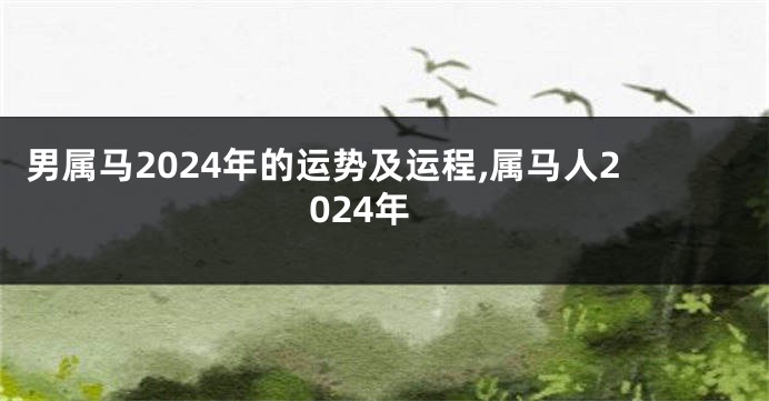 男属马2024年的运势及运程,属马人2024年