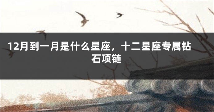 12月到一月是什么星座，十二星座专属钻石项链