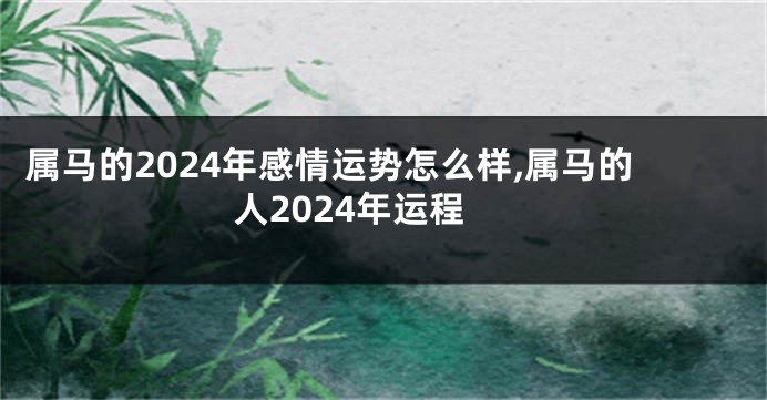 属马的2024年感情运势怎么样,属马的人2024年运程