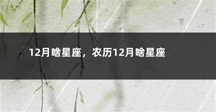 12月啥星座，农历12月啥星座