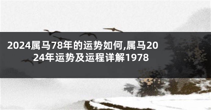 2024属马78年的运势如何,属马2024年运势及运程详解1978