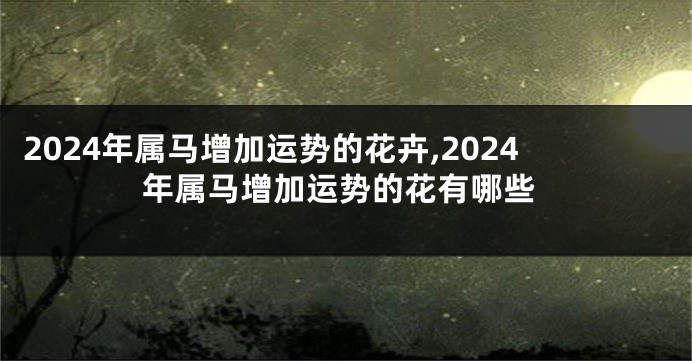 2024年属马增加运势的花卉,2024年属马增加运势的花有哪些