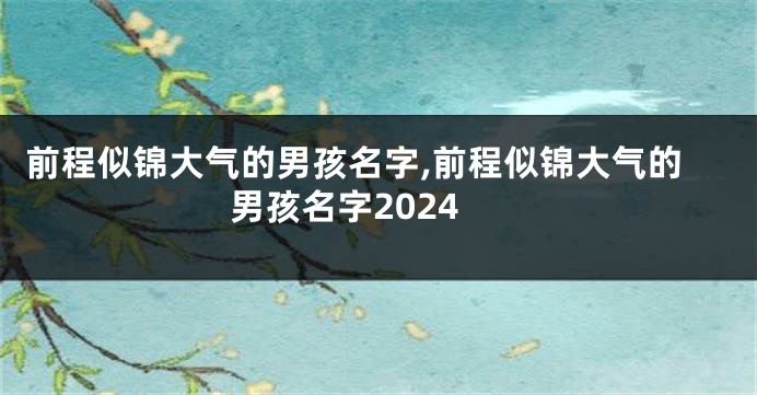 前程似锦大气的男孩名字,前程似锦大气的男孩名字2024