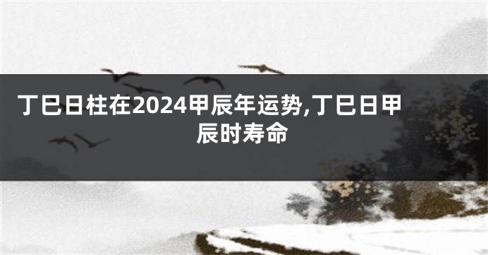 丁巳日柱在2024甲辰年运势,丁巳日甲辰时寿命