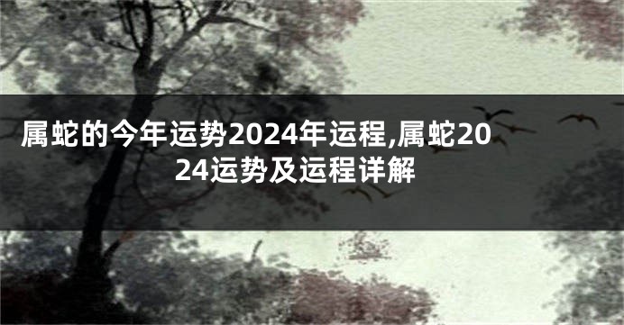 属蛇的今年运势2024年运程,属蛇2024运势及运程详解