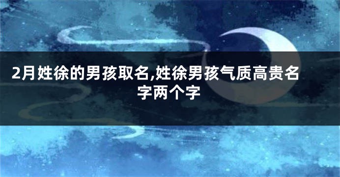 2月姓徐的男孩取名,姓徐男孩气质高贵名字两个字