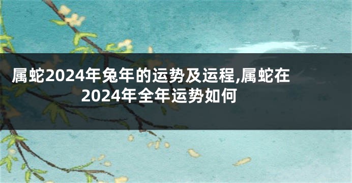 属蛇2024年兔年的运势及运程,属蛇在2024年全年运势如何