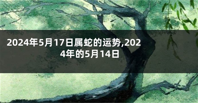 2024年5月17日属蛇的运势,2024年的5月14日