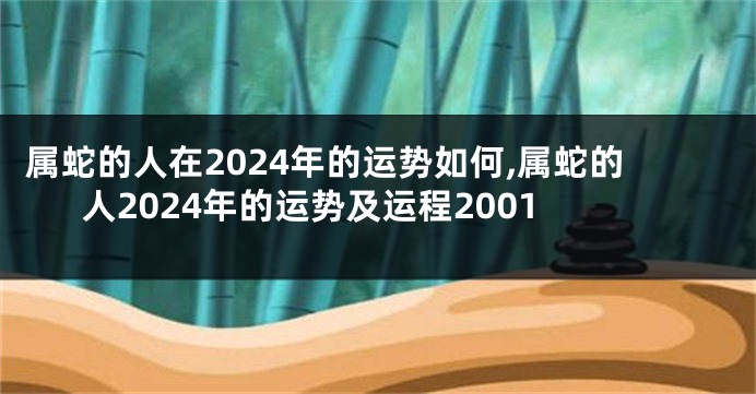 属蛇的人在2024年的运势如何,属蛇的人2024年的运势及运程2001