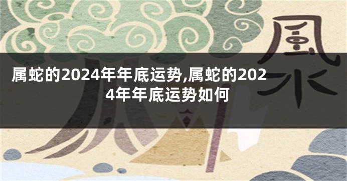 属蛇的2024年年底运势,属蛇的2024年年底运势如何