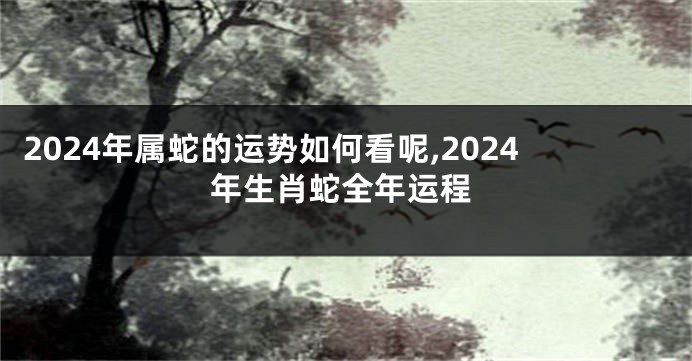 2024年属蛇的运势如何看呢,2024年生肖蛇全年运程