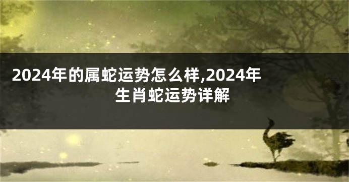 2024年的属蛇运势怎么样,2024年生肖蛇运势详解