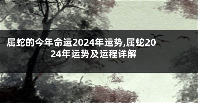 属蛇的今年命运2024年运势,属蛇2024年运势及运程详解