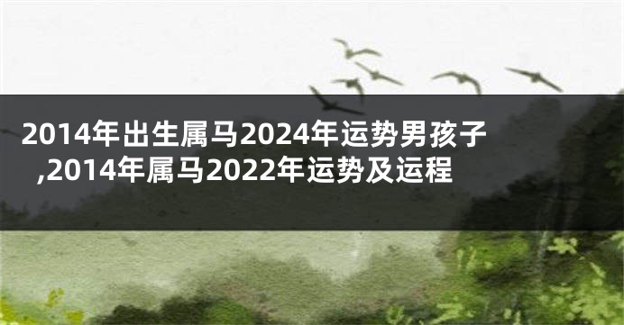 2014年出生属马2024年运势男孩子,2014年属马2022年运势及运程