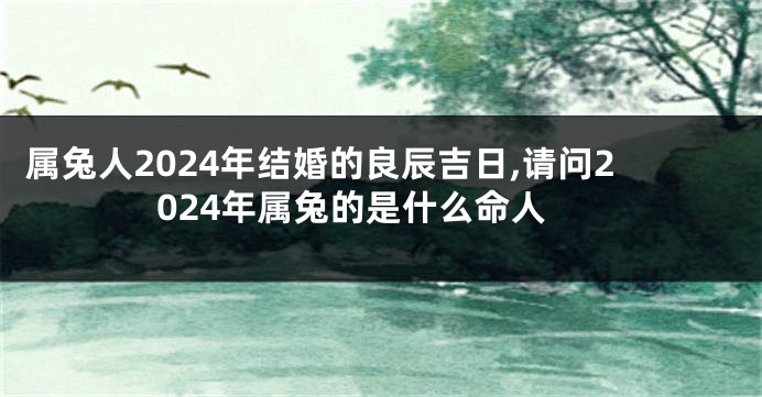 属兔人2024年结婚的良辰吉日,请问2024年属兔的是什么命人