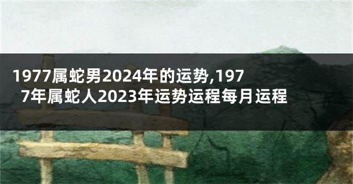 1977属蛇男2024年的运势,1977年属蛇人2023年运势运程每月运程