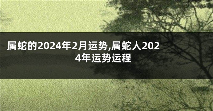 属蛇的2024年2月运势,属蛇人2024年运势运程