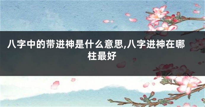 八字中的带进神是什么意思,八字进神在哪柱最好