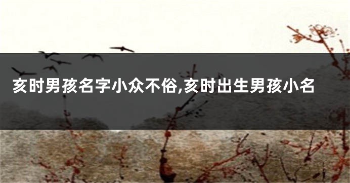 亥时男孩名字小众不俗,亥时出生男孩小名