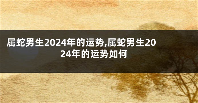 属蛇男生2024年的运势,属蛇男生2024年的运势如何