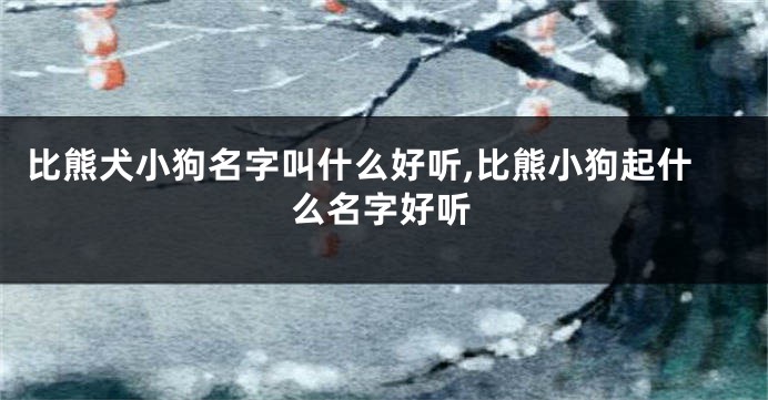 比熊犬小狗名字叫什么好听,比熊小狗起什么名字好听