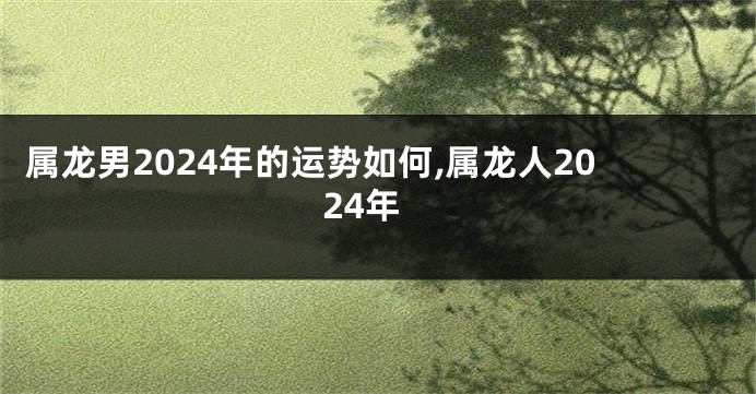 属龙男2024年的运势如何,属龙人2024年