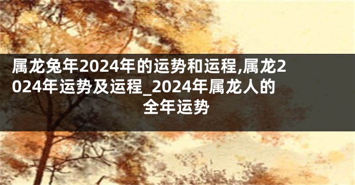 属龙兔年2024年的运势和运程,属龙2024年运势及运程_2024年属龙人的全年运势