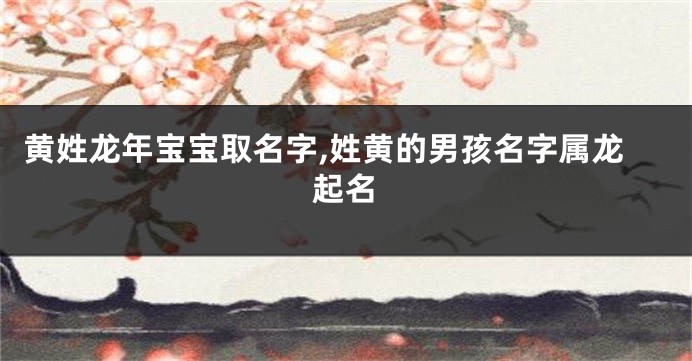 黄姓龙年宝宝取名字,姓黄的男孩名字属龙起名