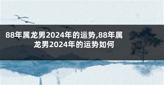 88年属龙男2024年的运势,88年属龙男2024年的运势如何