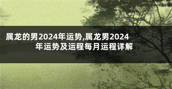 属龙的男2024年运势,属龙男2024年运势及运程每月运程详解