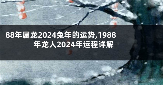 88年属龙2024兔年的运势,1988年龙人2024年运程详解