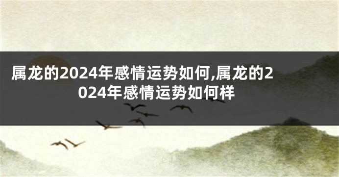 属龙的2024年感情运势如何,属龙的2024年感情运势如何样