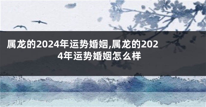 属龙的2024年运势婚姻,属龙的2024年运势婚姻怎么样